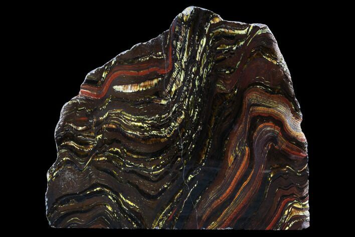 Bargain, Polished Tiger Iron Stromatolite - ( Billion Years) #96225